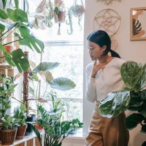 Choosing the Right Plants for Your Climate