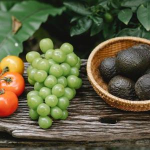 Edible Gardening: Growing Your Own Fruits and Vegetables