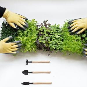 Composting and Fertilizing for Healthy Plants