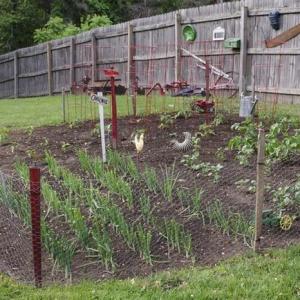When Should You Plant a Vegetable Garden in Michigan?