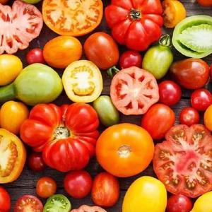 近期繁殖国外几百个品种的番茄与辣椒，想要加我微信: Littlewormcong😎
