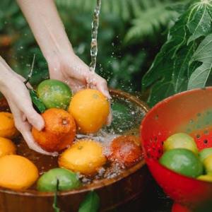 Water Conservation Tips for Gardeners