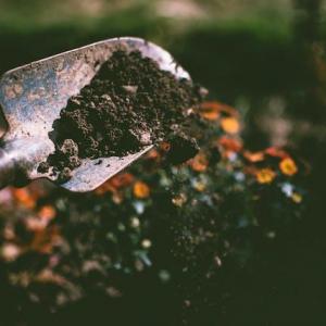 The Symphony of Soil: Understanding the Foundations of a Healthy Garden