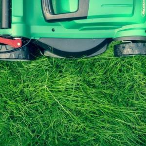 Lawn Care basic Tips for Beginners