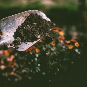 4 Simple Soil Tests to Help you Understand the Properties of Your Soil