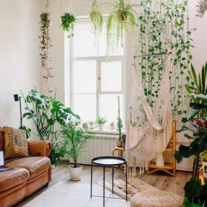 Creative ideas for incorporating plants and greenery into your home
