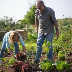 Essential tips for beginner gardeners starting their first garden