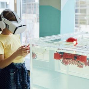 Exploring the potential of virtual reality in education and immersive learning experiences