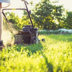 Lawn care and maintenance hacks - Easy tricks for a lush, lively lawn