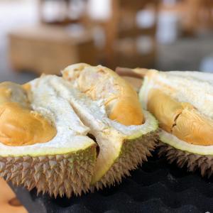 King of Fruits - Durian