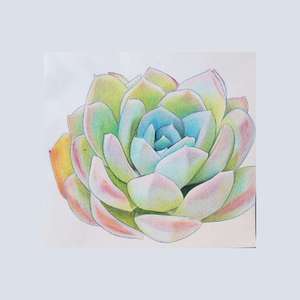 Follow my Instagram cactibrush to see my succulent artwork.