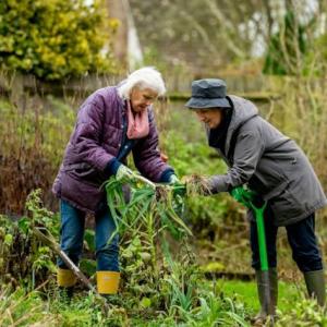 Seasonal gardening tips: Planting and caring for your garden throughout the year