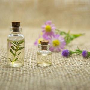 Aromatherapy: The Benefits of Essential Oils in Daily Life