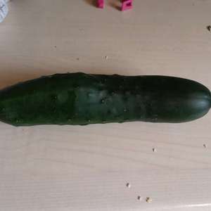 cucumber onerror=