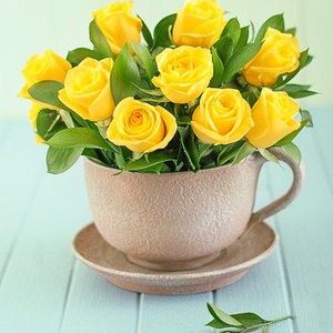 Yellow Roses onerror=