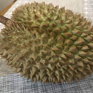 - dead - 榴莲·金枕头 Durian