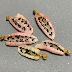 The seeds inside the pods. Not easy to remove.
