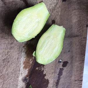 南瓜🎃结瓜，关键还可以吃南瓜藤。