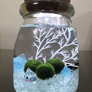 我新添加了一棵“海藻球”到我的“花园”