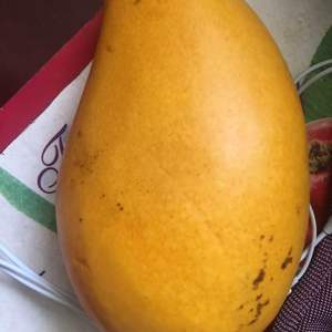 芒果·黄皮 Yellow Mango